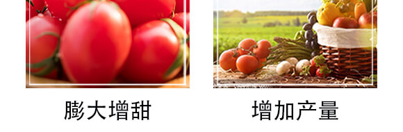 �����r(n��ng)��ጷ���26-10-10-�и���ʢ_06