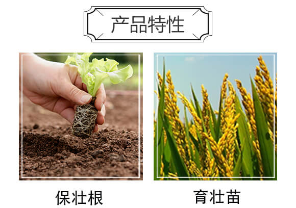 50L������|(zh��)-�֠���(y��u)_04