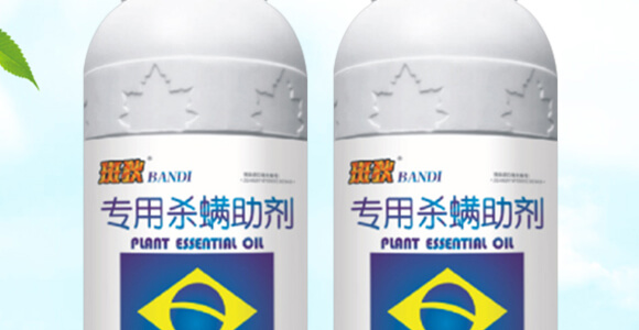 500ml�M�ڌ��Ú�������-�ߵ�-�����r_02