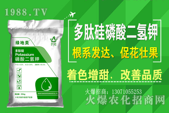 �۲˵ă�(y��u)��Ʒ�N����Щ���۲˷Nֲ���L(zh��ng)�h(hu��n)�������Nֲ���g(sh��)��