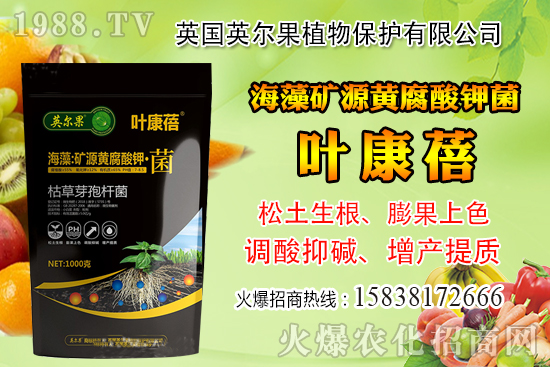 ��ô�Д����׺�ˮ��������������ˮ���й��ж���(j��ng)�(y��n)��