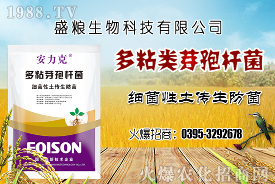 ܇?y��n)��ӷNֲ�h(hu��n)��Ҫ�����Ď��c(di��n)��܇?y��n)������N�x�����N�׷N��