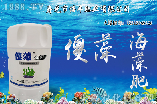 �Ј�(ch��ng)�𲽻ؚw�������������󶹃r(ji��)��_�߻�����