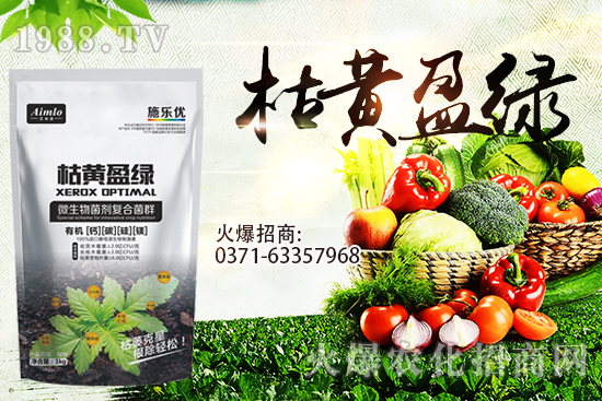 ʮ�¼�������(l��i)�����r(ji��)�ܝq������9��29��С���r(ji��)���߄�(sh��)��