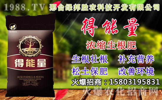 2020��С���N������x���߮aС��Ʒ�N����Щ��