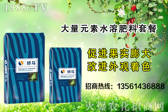 �＾����ʩ�ʵĺ�̎����Щ���＾����ʩ��ָ��������