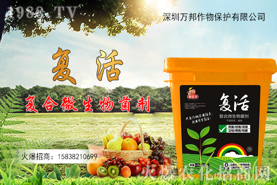 ���������ԷN������M(j��n)�й�������ʲô����Ҫ�c(di��n)��