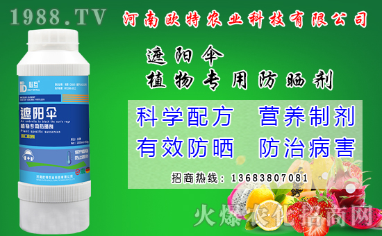 �R������Ժ���Щ�����׷N���R����׷Nģʽ��ʲô��̎��