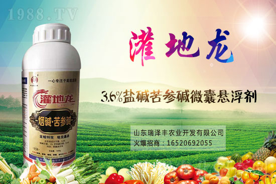 �׾S���x(ch��ng)�����x(ch��ng)���r(ji��)���߄�(sh��)2021��1��12��