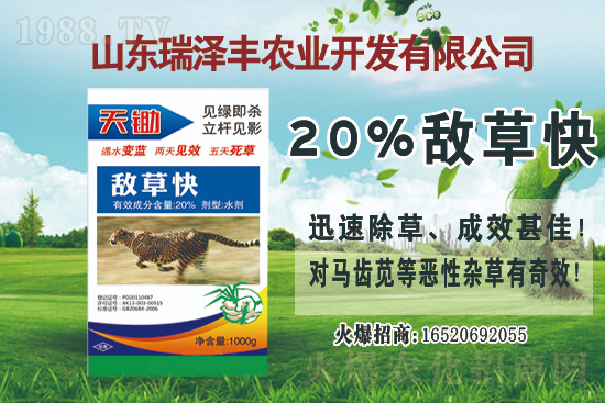 2021��2��12���O�����݄��r(ji��)������