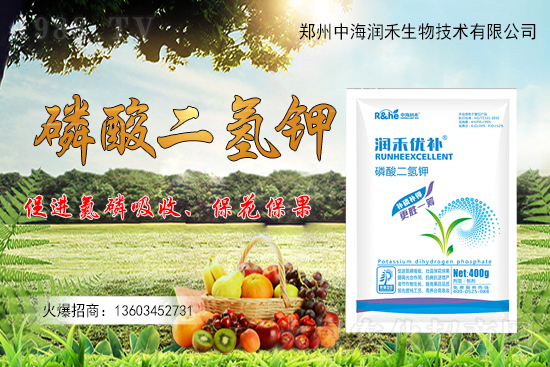 ����(sh��)һ���굽��ԓ��ôʩ��������(sh��)ʩ��ע�����(xi��ng)����Щ��