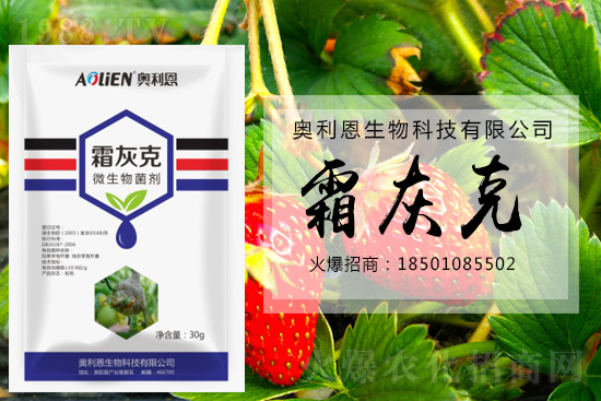 ������ݮ�װl(f��)��ù�����A(y��)����ʩ��ô����