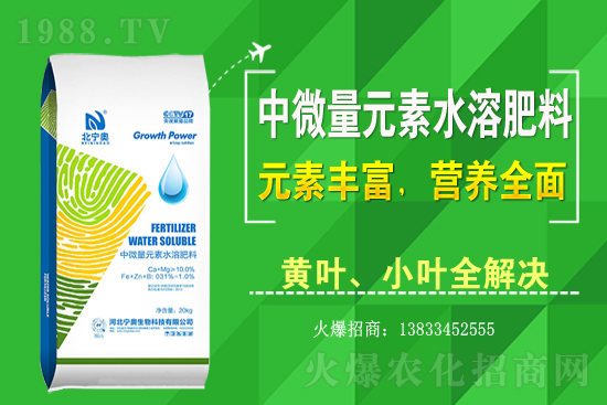 �S����ԓ��ô�Nֲ���S���˷Nֲ�^����ע����Щ���}��