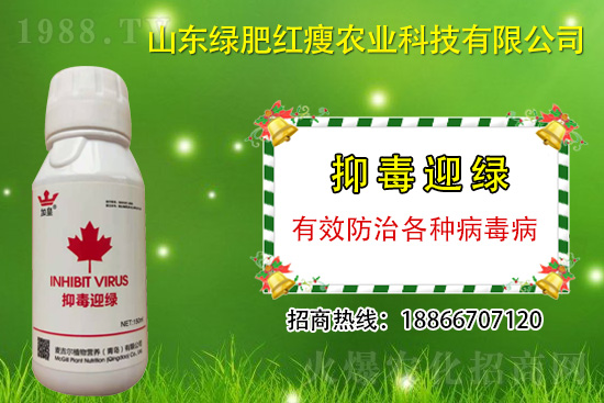 ���β�������Ҳ���ð������ֶ�ӭ�G�����β�������