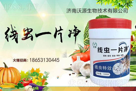 ���Y(ji��)���x�y���������ξ��x�����xһƬ����