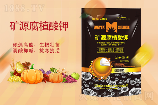 ⛷ʃr(ji��)��ƽ��(w��n)��2021��10��13��⛷ʃr(ji��)��