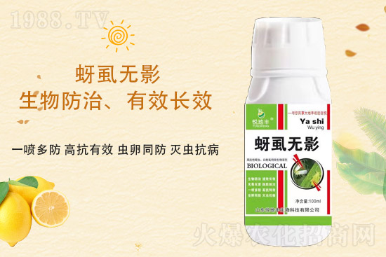 ɽ�|�����S�m(x��)�s1988.TV�����\�����°l(f��)չ