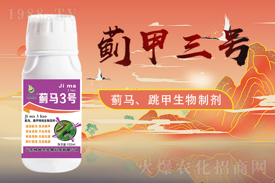 ɽ�|�����S�m(x��)�s1988.TV�����\�����°l(f��)չ