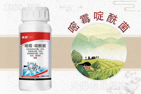 勇冠喬迪再簽1988.TV,鑄就新輝煌!