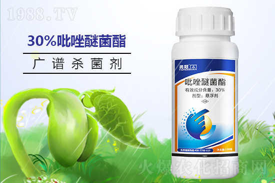 勇冠喬迪再簽1988.TV,鑄就新輝煌!