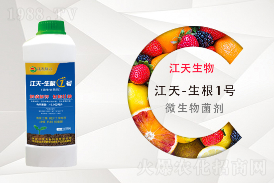 ⛷ʶ����Xһ����11��11�ո���⛷ʃr(ji��)������