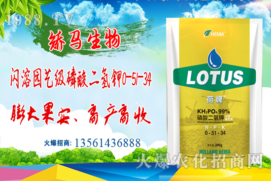 ⛷ʃr(ji��)���ů��11��15��⛷ʃr(ji��)������