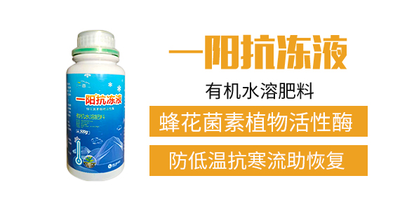 河南一畫農(nóng)業(yè)科技有限公司2_02