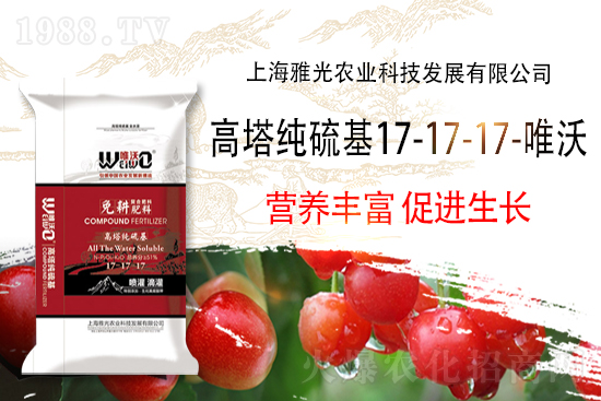 復(fù)合肥出廠報價,11月8日復(fù)合肥價格行情