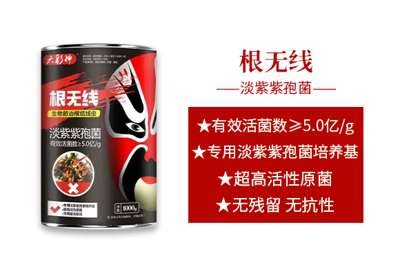 �����f�����ﱣ�o(h��)���޹�˾_02