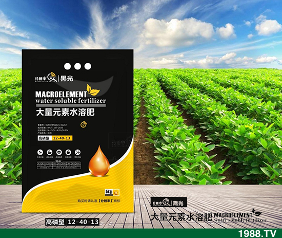 ����(w��n)�\(y��n)����2021.12.31����������@�r(ji��)��