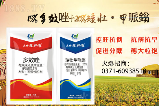 С����ǰ���L�a(ch��n)���pʧ����С���������x���������ֶա���