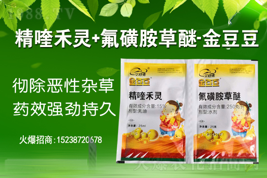 2021��2��6�շ��ѡ�����ɳ��݄��r(ji��)���߄�(sh��)