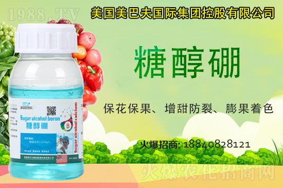 ���յ��ȶ����Xһ����2021�굾�ȃr���Ƿ�߀���q��