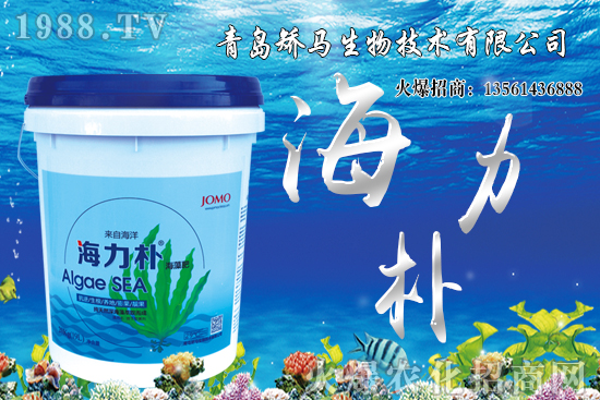 ѩ����r������Xһ�ã�2021��Nֲѩ����ٍ�X����