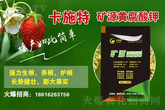 ���ջ����r������Xһ����2021��3��19�ջ����r������