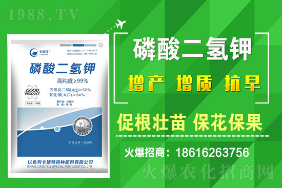 ���˷Nֲ��Ҫע����Щ���}�����˷Nֲԓ��ôʩ����