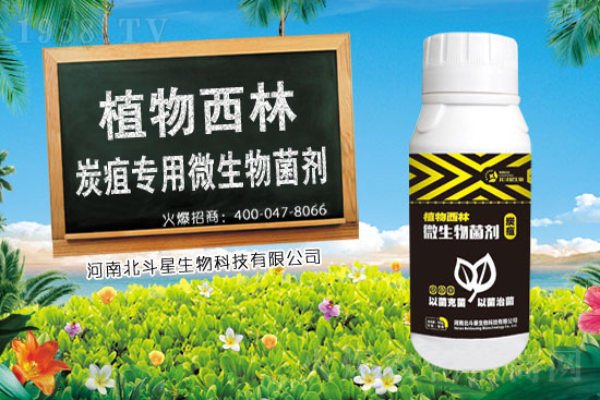 �����`�������r���߄�2021.3.24