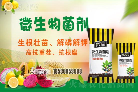 ��ݮ�����F(xi��n)���l���l(f��)������ҪԴ��ʲô������