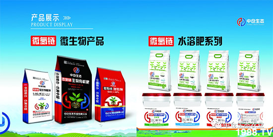 ���˟o(w��)ζ���ϲ����������㡱�ǻ����ǵĵ���