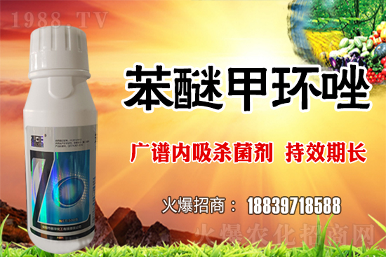 �������L�U�Ӵ�������ö�С�����o������