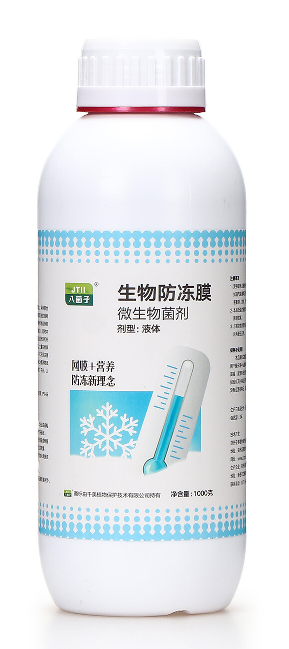 �������Ĥ-�˾���-ǧ��ֲ��5