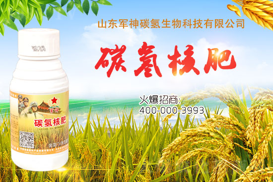 ̼��˷���ʲô������ʲôЧ���@ô����