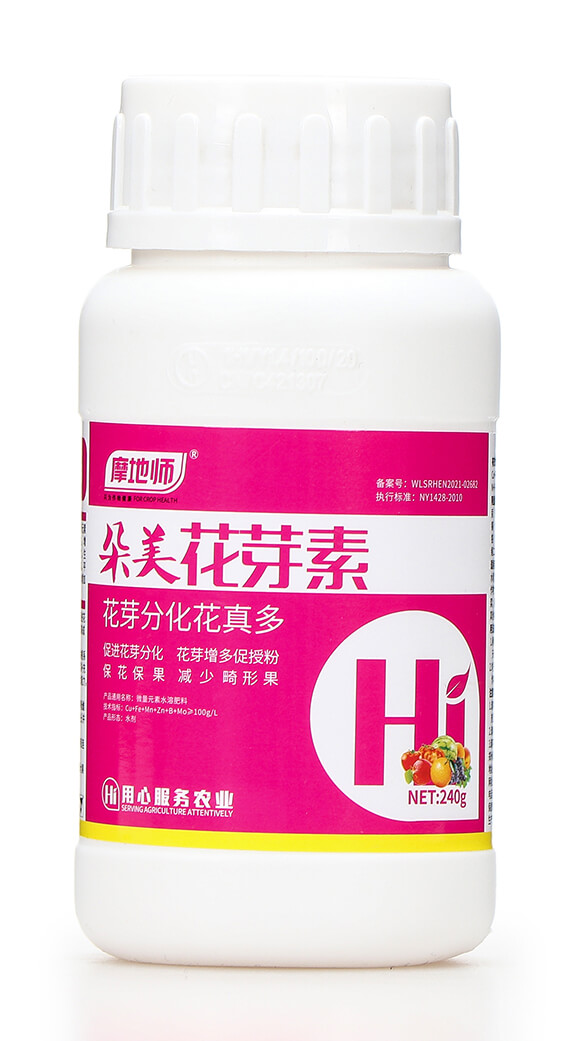 240�˶�����ѿ�� Ħ�؎�5