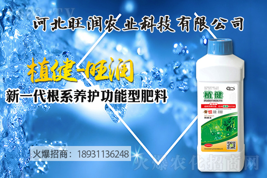 �{(l��n)ݮ������ô�Nֲ���{(l��n)ݮ����ķNֲ���޼����ݼ��g(sh��)��