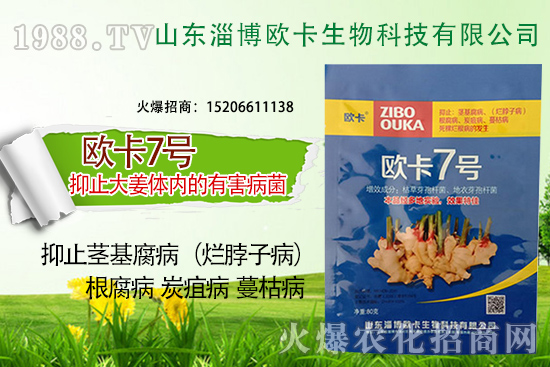 �W�������ٺ�1988.TV�����󌍬F(xi��n)��I(y��)�v�w����
