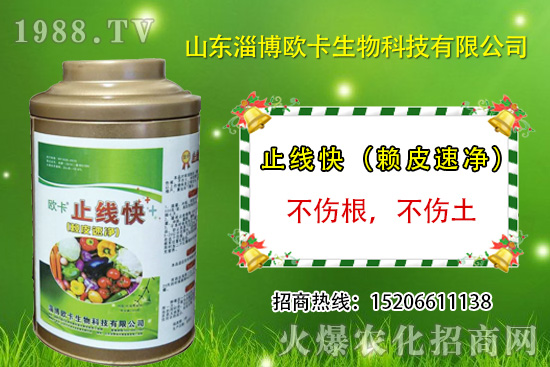 �W�������ٺ�1988.TV�����󌍬F(xi��n)��I(y��)�v�w����
