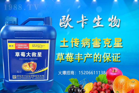 �W�������ٺ�1988.TV�����󌍬F(xi��n)��I(y��)�v�w����