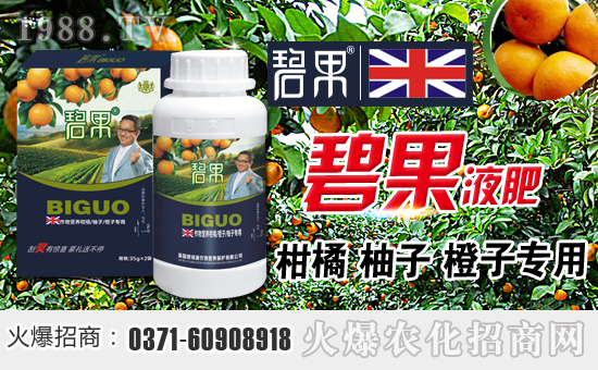 ���Ә��޼�