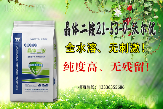 ���@�߃r�����ڇ���(n��i)���@�r�������Ո�(b��o)��6��15��