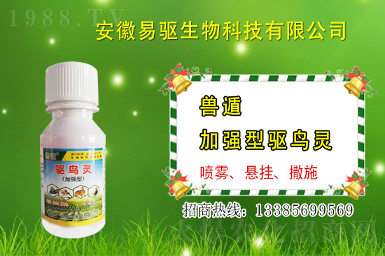 大雨或大水漫灌過(guò)后,玉米粉籽、爛種、爛苗怎么辦?
